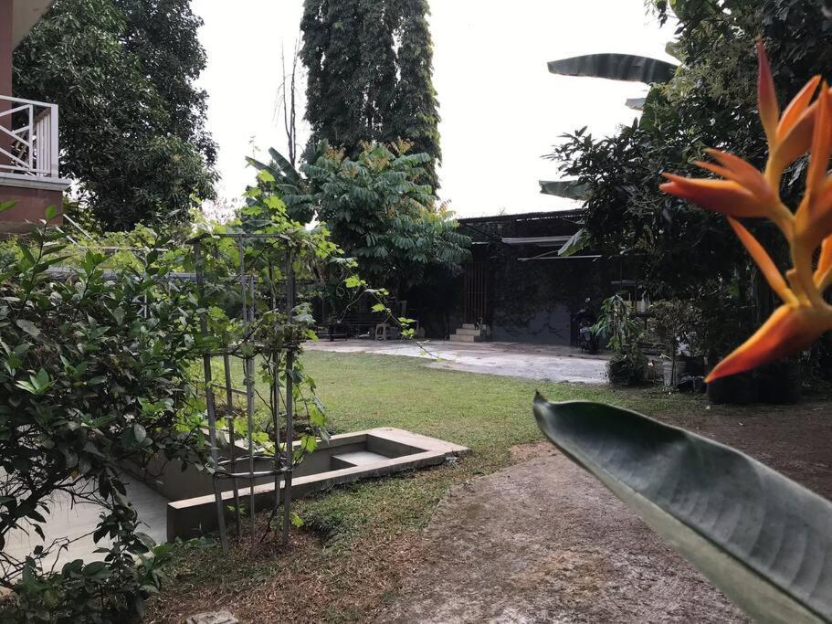 Villa Naumi Bandung Exteriör bild