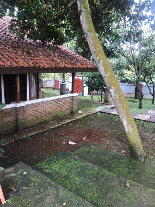 Villa Naumi Bandung Exteriör bild